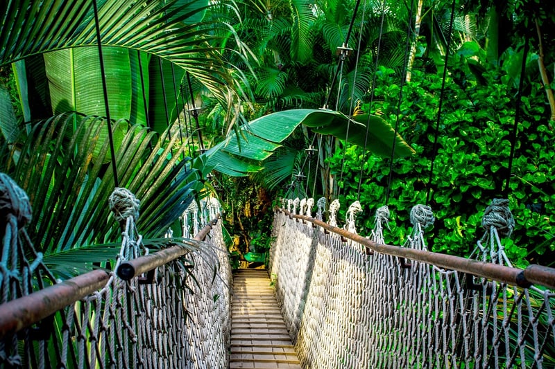 Inkaterra Reserva Amazonica in Tambopata